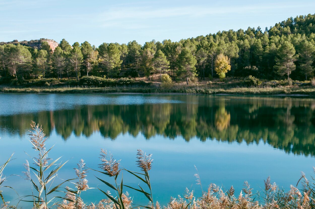 La flora y la fauna convierten a las lagunas en un lugar excepcional