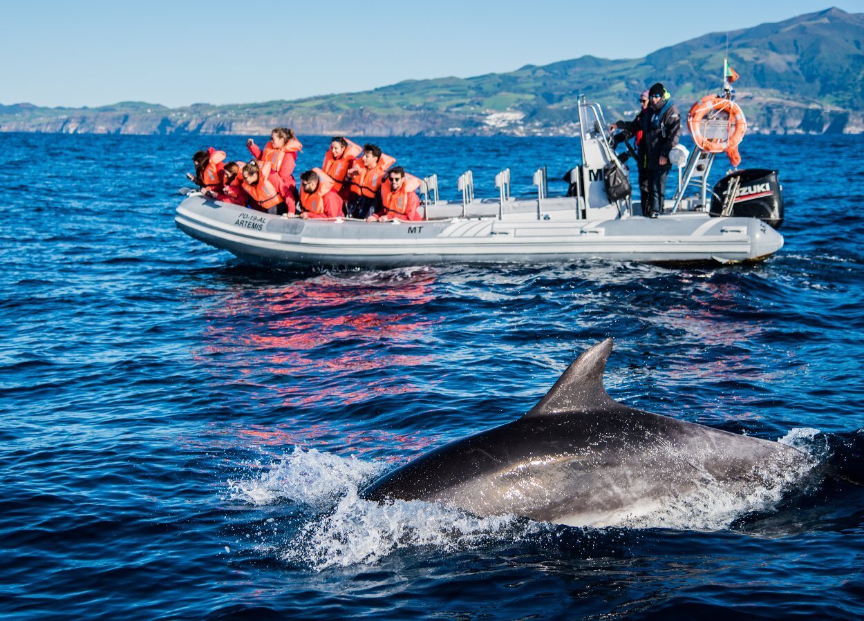 Las aguas de Azores cuenta con una buena colonia de cetáceos