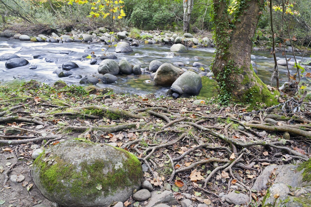 Vistas del valle del Baztán