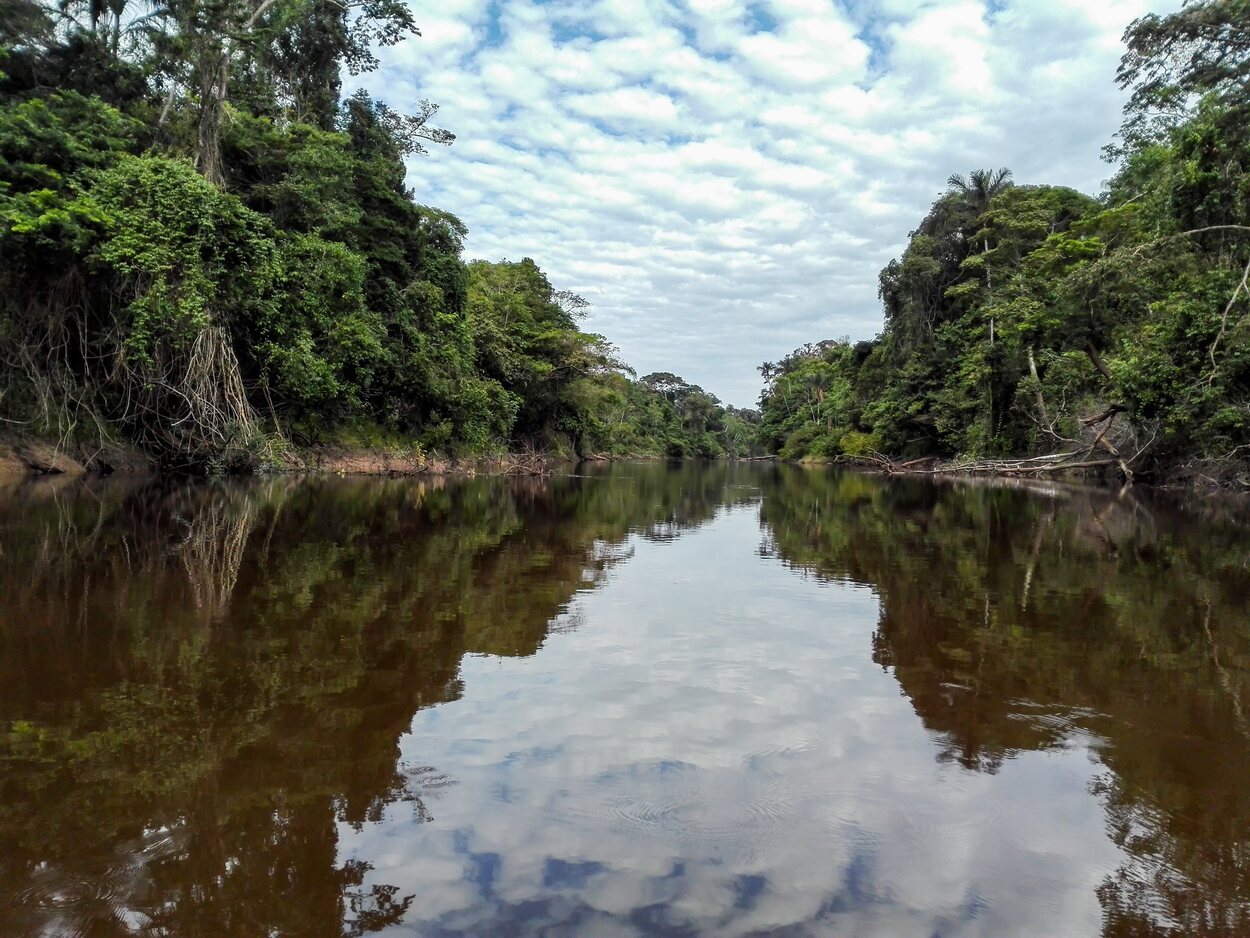 La Reserva Nacional de Pacaya Samiria cuenta con un gran valor natural