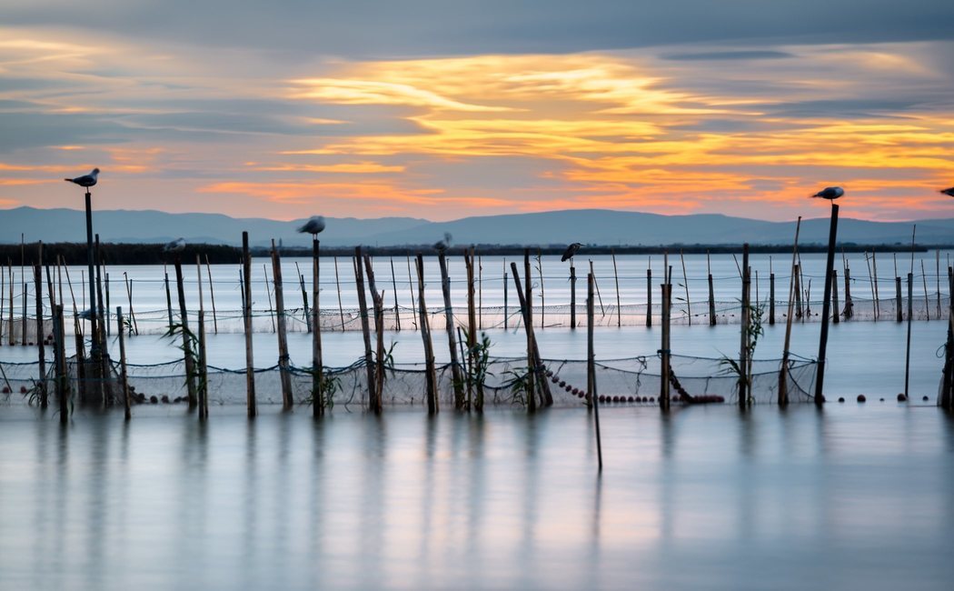 La Albufera de Valencia, un humedal único en España