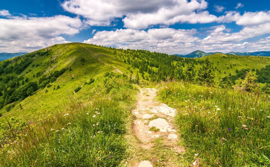 Consejos para preparar una escapada rural perfecta