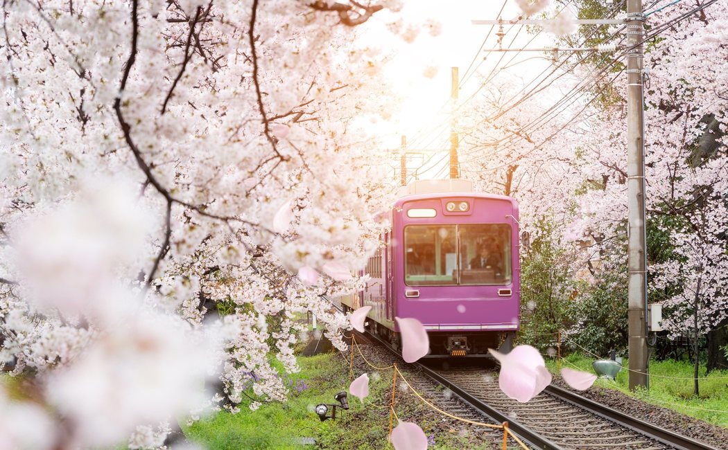 Dónde viajar en primavera: 8 lugares del mundo para acertar con el destino