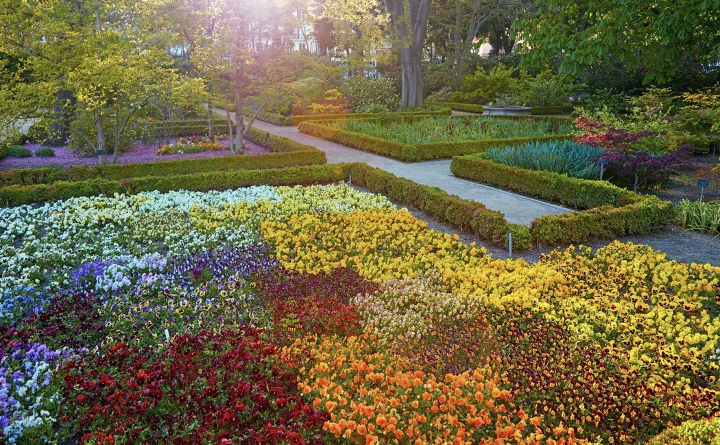Visita el Jardín Botánico de Madrid: un oasis en pleno centro