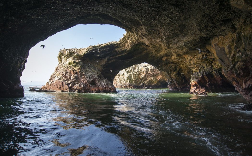 Islas Palomino e Islas Ballestas, disfruta de pingüinos y lobos marinos en Perú
