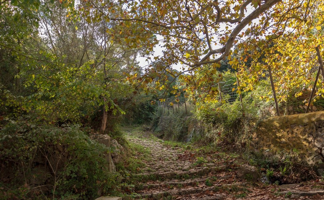 5 planes en Mallorca perfectos para el otoño