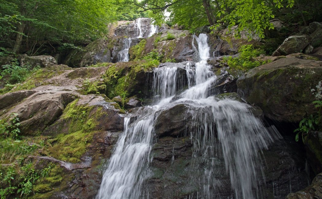 Qué ver en Virginia: cinco paisajes impresionantes que tienes que visitar