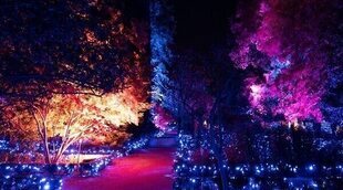 Explorium, el regreso de la Naturaleza Encendida del Jardín Botánico de Madrid