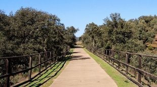 Vías Verdes: las vías de ferrocarril reconvertidas en senderos de paseo