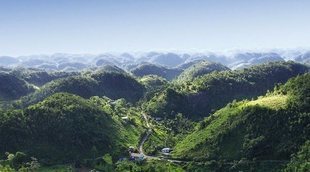 Qué ver y qué hacer en Cockpit Country: descubre los alpes jamaicanos