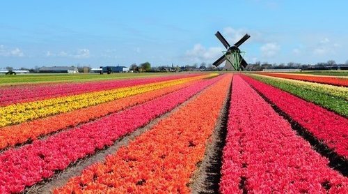 Dónde viajar en primavera: 8 lugares del mundo para acertar con el destino