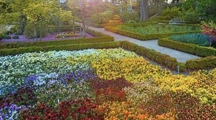 Visita el Jardín Botánico de Madrid: un oasis en pleno centro