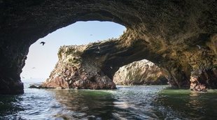 Islas Palomino e Islas Ballestas, disfruta de pingüinos y lobos marinos en Perú