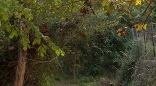 5 planes en Mallorca perfectos para el otoño