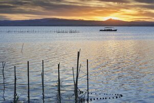 La Albufera de Valencia al atardecer